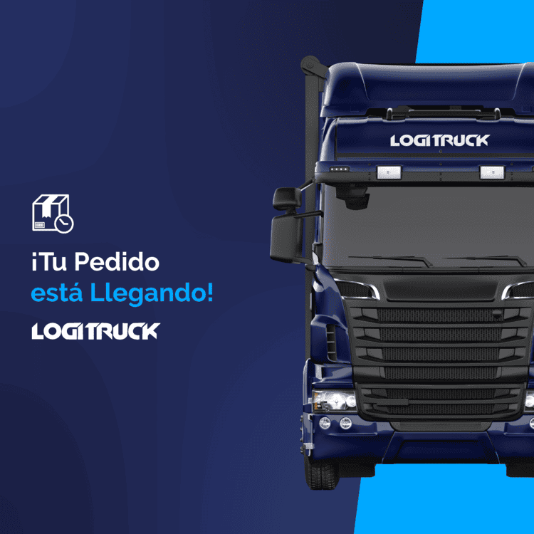 LT 2023 Feed